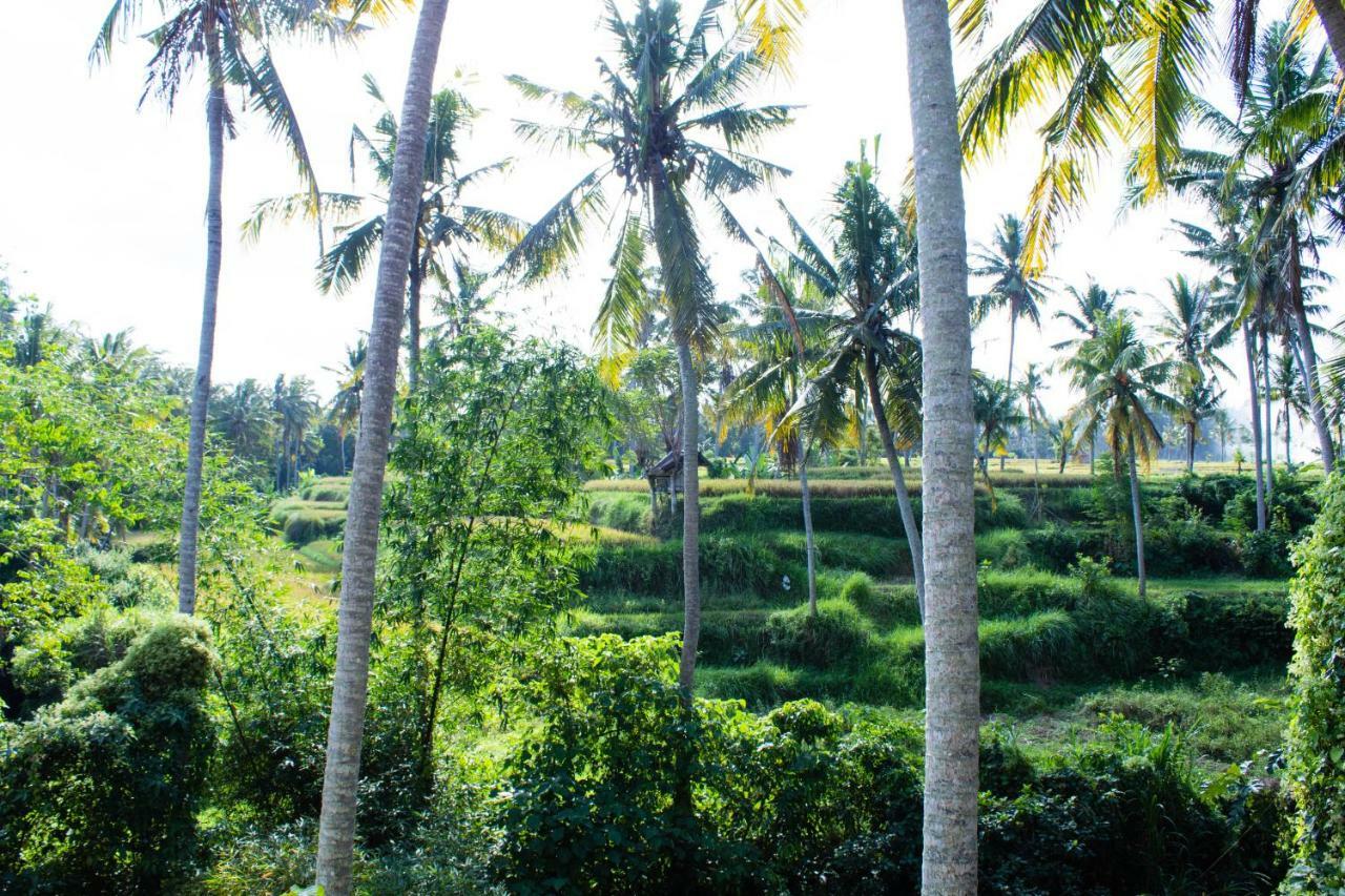 Alam Grigis Ubud